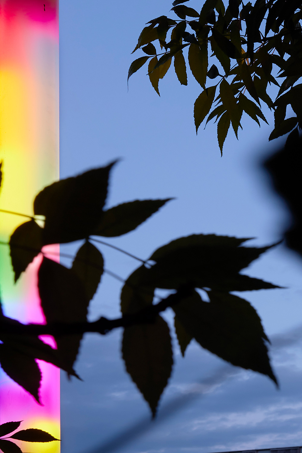 Julius Pristauz — forever more (structural blur) | Foto: Johannes Puch