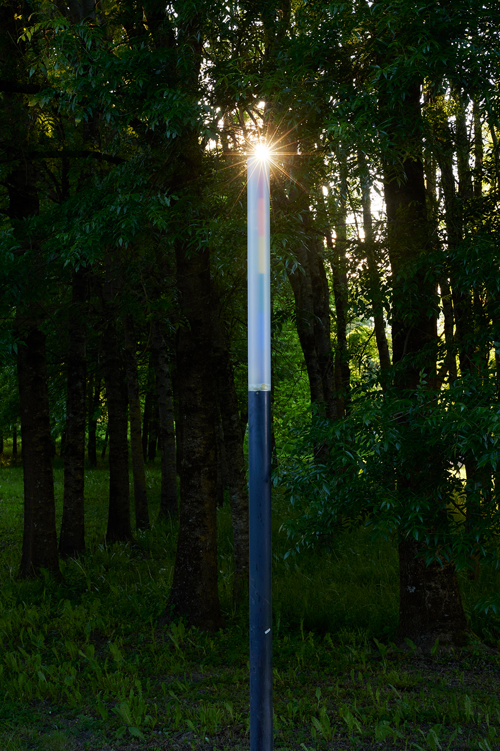 Julius Pristauz — forever more (structural blur) | Foto: Johannes Puch